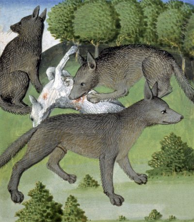 Wolves by French School