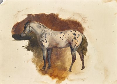 Spotted Gray Horse by Friedrich August Mathias Gauermann