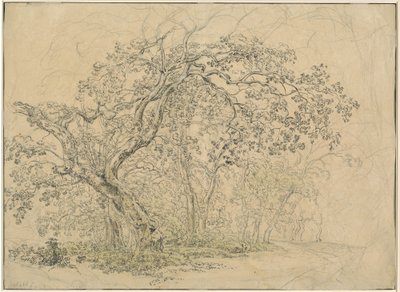 Grove of Trees by Friedrich Salathé