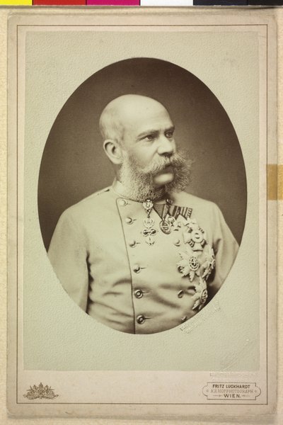 Franz Joseph I by Fritz Luckhardt