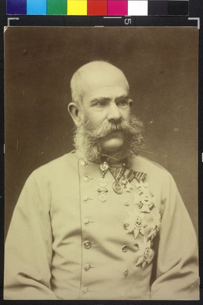 Franz Joseph I by Fritz Luckhardt