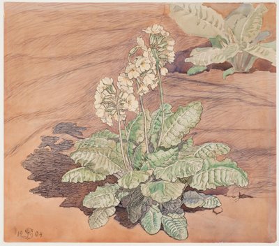 Growing Cowslip in Sunshine by Fritz Syberg