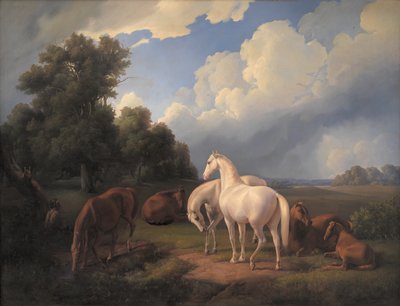 Lucia, Whimsey, Bellona, Hertha, Olga by Fritz Thomsen