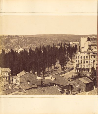 Plate 13 by G. Berggren