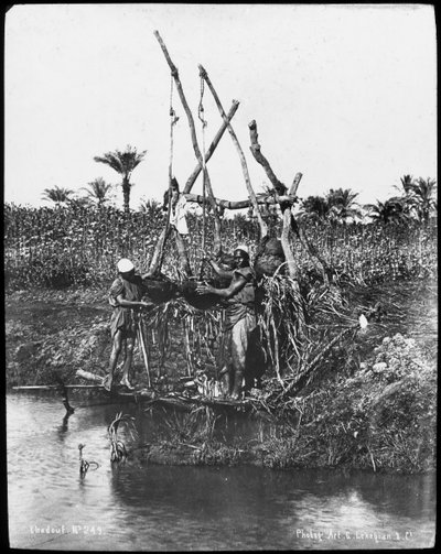 A Shaduf on the Nile, Egypt by Gabriel Lekegian