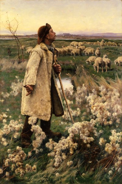Shepherd, 1884 by Gaines Ruger Donoho