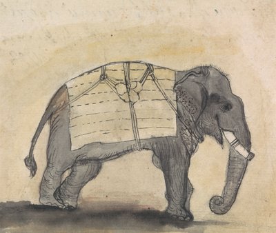 Elephant by Gangaram Chintaman Tambat