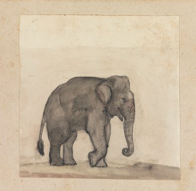 Elephant by Gangaram Chintaman Tambat