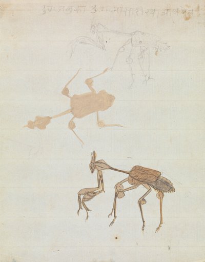 Praying Mantis by Gangaram Chintaman Tambat