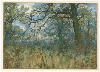 Trees and Undergrowth by Garden William Fraser