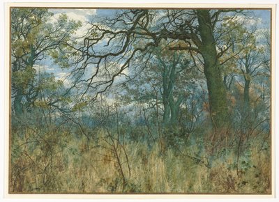 Trees and Undergrowth, 1885 by Garden William Fraser