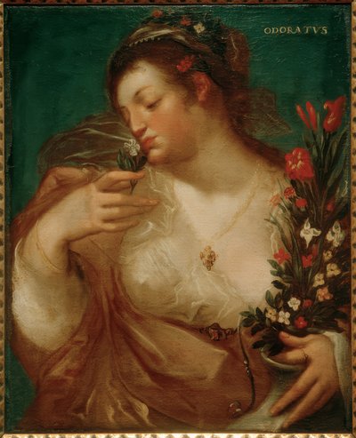 Smell by Geldorp Gortzius