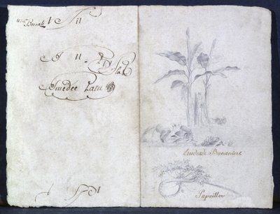 Banana Trees by Genevieve Sophie Marie Adele Patu de Rosemont