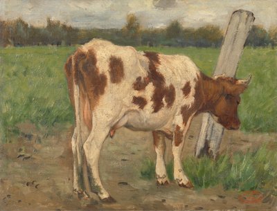 Cow by Geo Poggenbeek