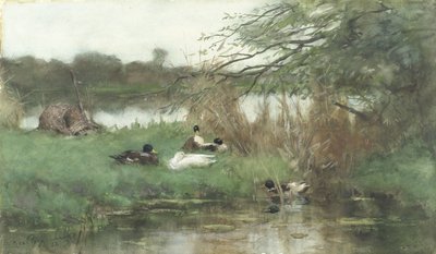 Ducks by the Waterside by Geo Poggenbeek