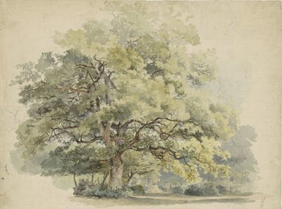 Tree Study by George Andries Roth