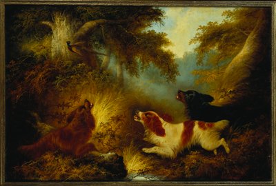 Spaniels Putting Up a Pheasant by George Armfield