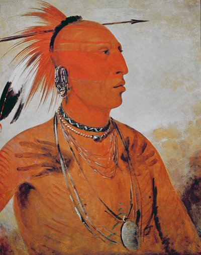 Brave Chief by George Catlin
