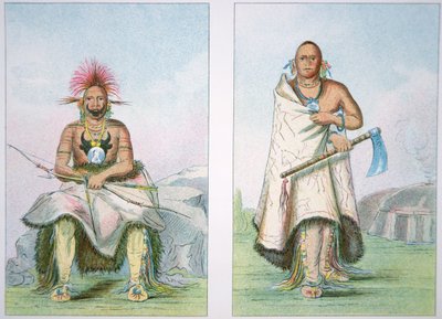 Buffalo Bull and the Big Elk by George Catlin