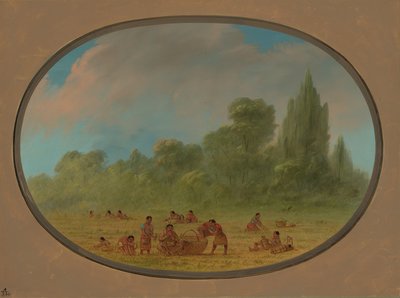 Caddoe Indians Gathering Wild Strawberries by George Catlin