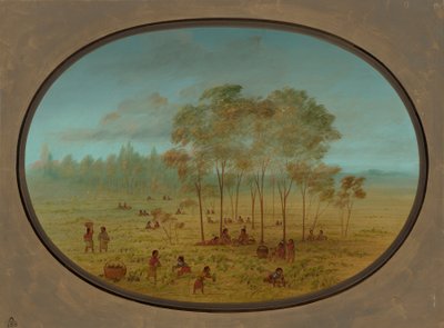 Kiowa Indians Gathering Wild Grapes by George Catlin