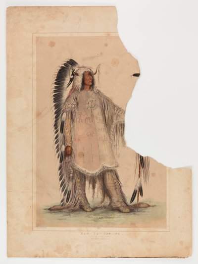 Mah-to-toh-pa, the Mandan Chief by George Catlin