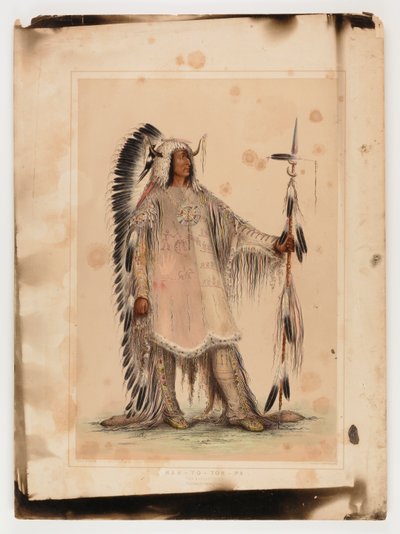 Mah-to-toh-pa, the Mandan Chief by George Catlin