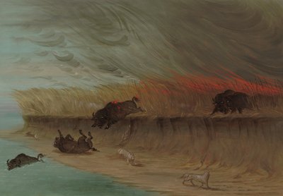 Prairie Meadows Burning, 1861-1869 by George Catlin