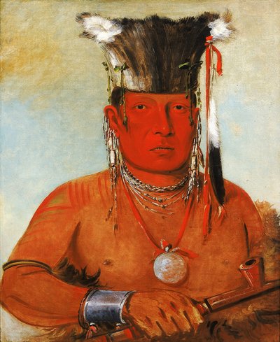 Sháw-da-mon-nee, There He Goes, a Brave by George Catlin