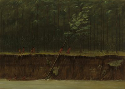 View of the Lower Mississippi by George Catlin