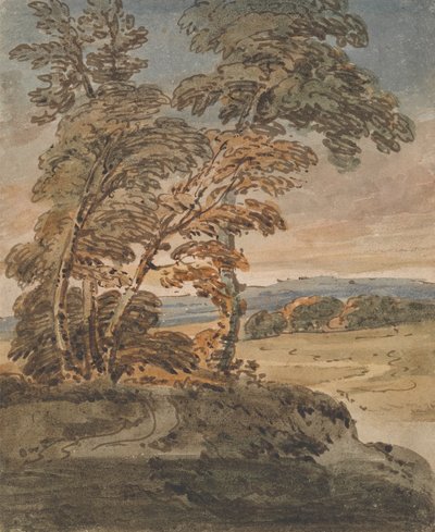 Trees on a Hillside Path by George Chinnery