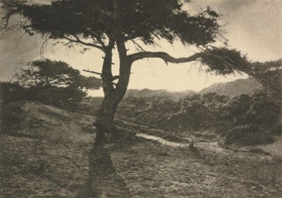 The Long Arm by George Davison