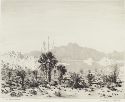 A Mirage, Arizona by George Elbert Burr