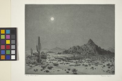 Arizona Night by George Elbert Burr
