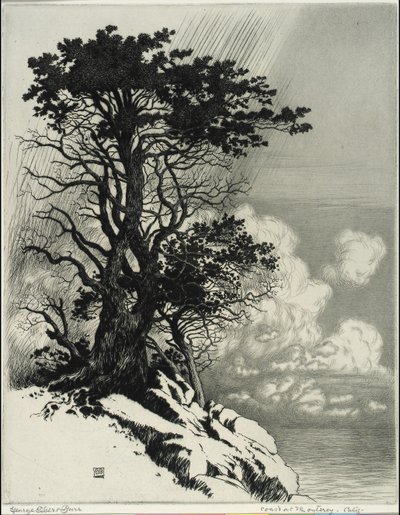 Coast at Monterey, California by George Elbert Burr