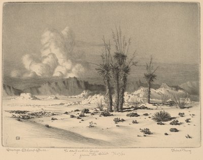 Evening, Arizona by George Elbert Burr
