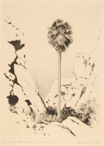 Palm Canyon by George Elbert Burr