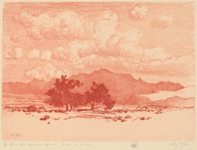 Palo Verde Trees by George Elbert Burr