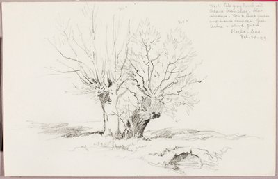 Roche Vaud by George Elbert Burr