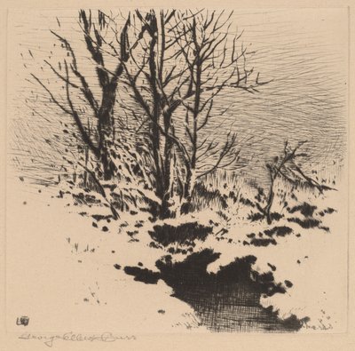 The First Snow (no.2) by George Elbert Burr