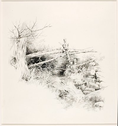 Untitled (Woodland Stream) by George Elbert Burr