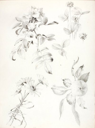 Untitled by George Elbert Burr