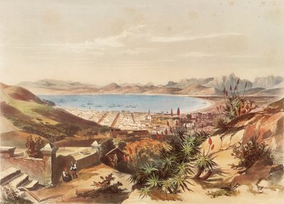 Cape Town by George French Angas