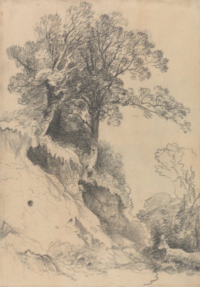 Trees on a Crumbling Bank by George Frost