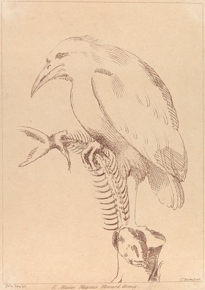 Untitled: Bird holding fish skeleton by George Knapton
