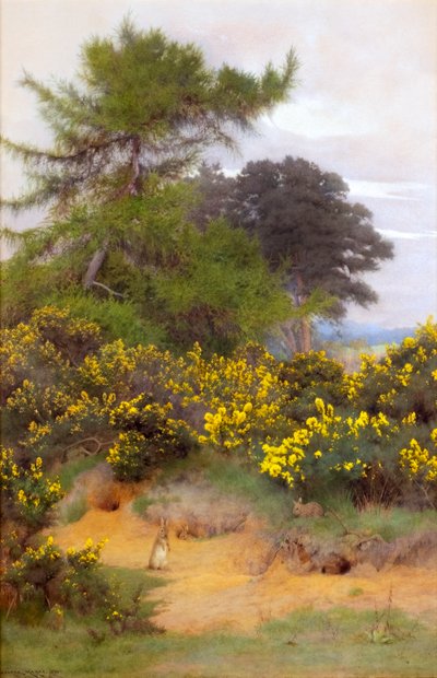 On the Edge of Shere Heath by George Marks