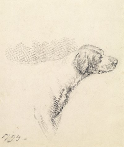 Study of a Hound by George Morland