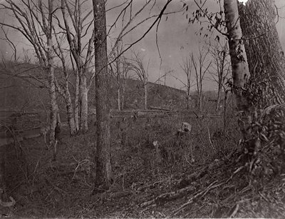 Bull Run, Virginia, 1861-62 by George N. Barnard