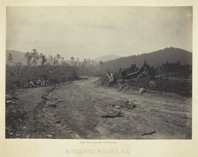 Buzzard Roost, GA by George N. Barnard