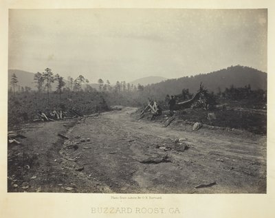 Buzzard Roost, GA by George N. Barnard